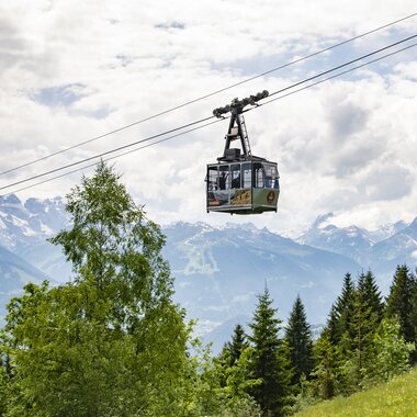 © PATRICK SAELY PHOTOGRAPHY