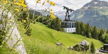 © PATRICK SAELY PHOTOGRAPHY