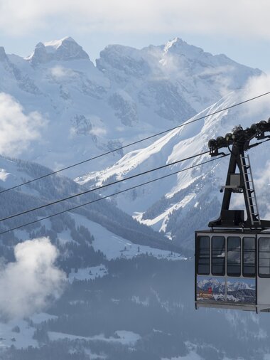 © PATRICK SAELY PHOTOGRAPHY