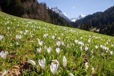 © Stefan Kothenr Photography