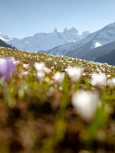 © Stefan Kothenr Photography