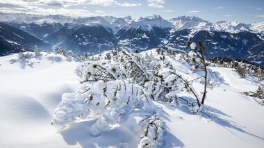 © Stefan Kothenr Photography