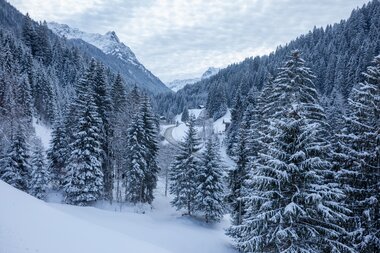 © Stefan Kothenr Photography