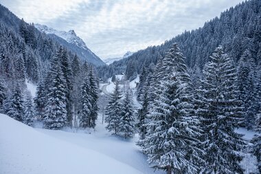 © Stefan Kothenr Photography