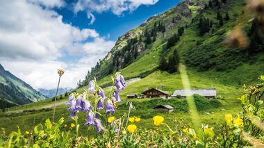© Dietmar Denger