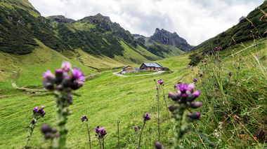 © Elisa Schöllhorn