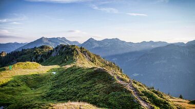 © daniel zangerl photographer