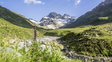 © Stefan Kothner / Montafon Tourismus GmbH