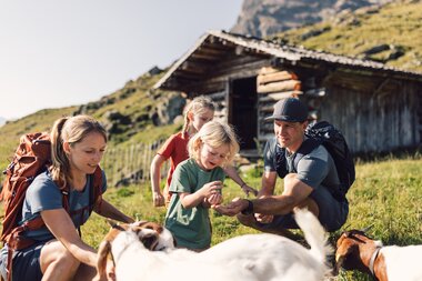 Eine Familie mit zwei Kindern füttert Ziegen vor einer Almhütte in Gargellen. Im Hintergrund sind grüne Wiesen und felsige Berghänge zu sehen. | © Gargellner Bergbahnen GmbH & Co KG, Daniel Zangerl